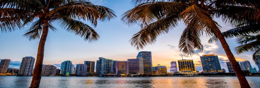 Miami Florida Skyline with Palm Trees