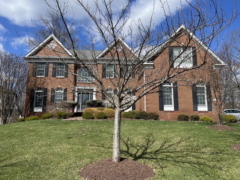 43374 Carys Brook
